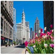 Day Translations Chicago Day Translations Chicago